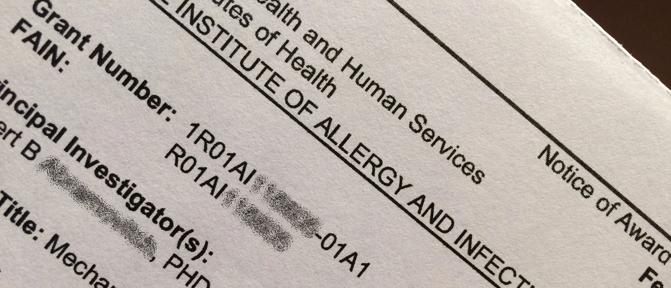 NIH grant award notice document